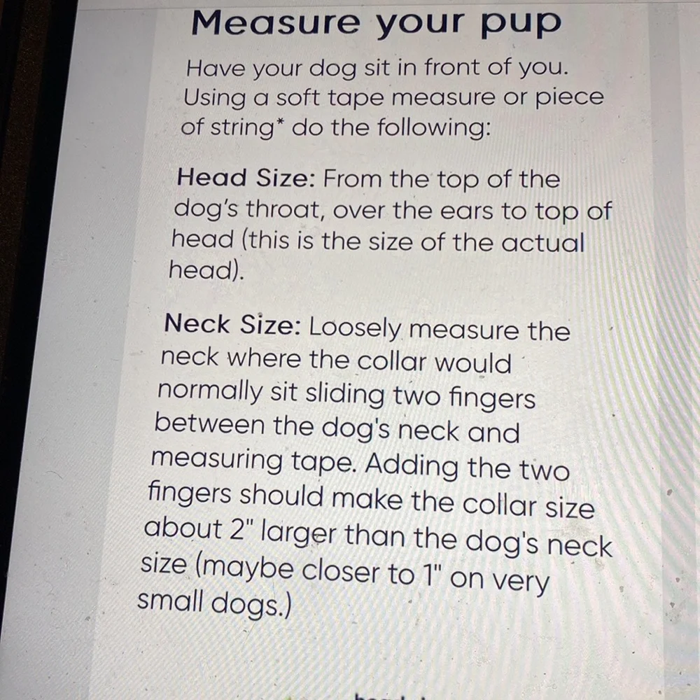 New Bret, Michaels, dog collar